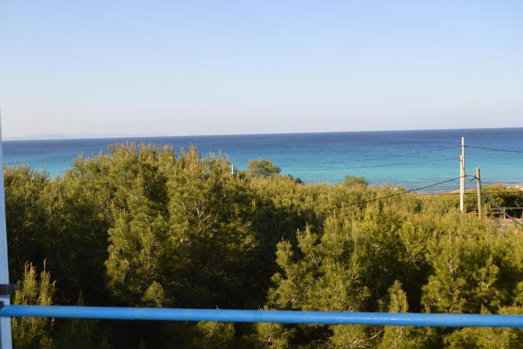 Apartamentos Cas Xurrac Es Calo  Pokoj fotografie